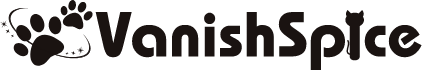 スポーツイベント制作・運営、ユニバーサルイベント制作会社　VanishSpice